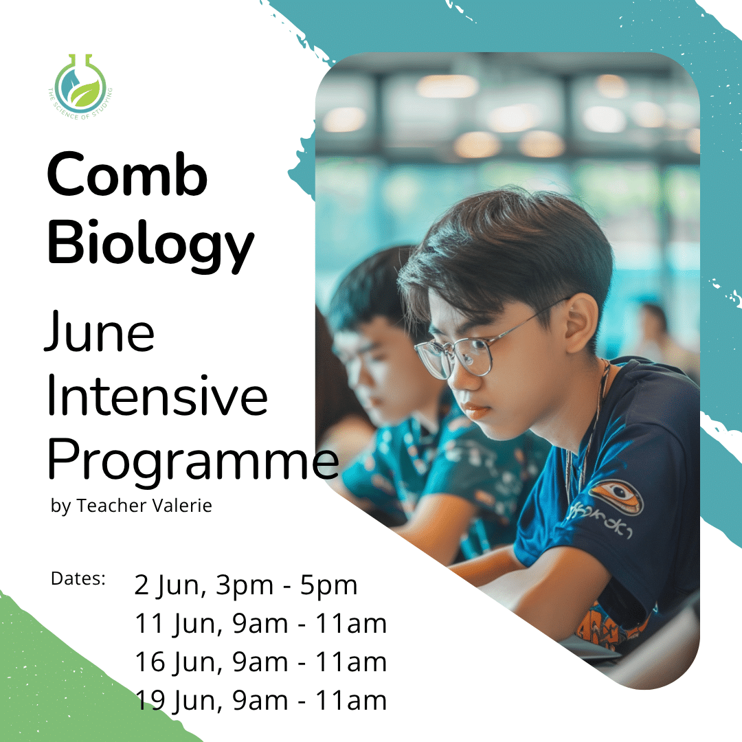 Intensive Session Science School Holiday Programmes